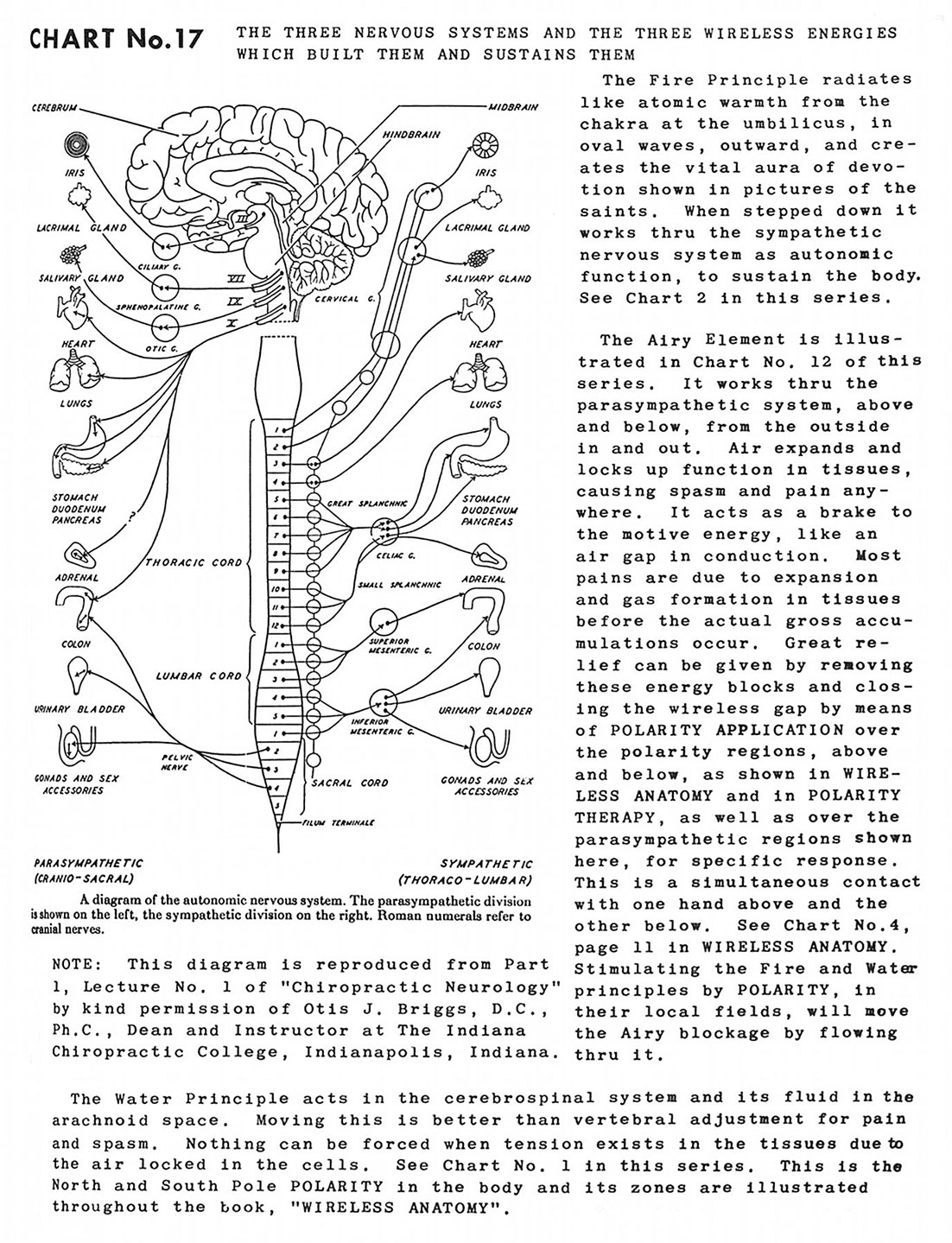 Polarity Therapy