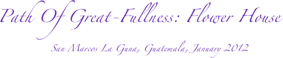 Path Of Great-Fullness: Flower House
San Marcos La Guna, Guatemala, January 2012